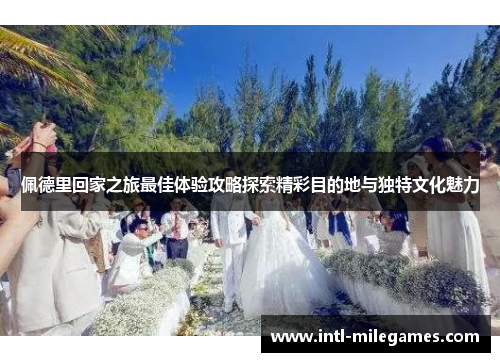 佩德里回家之旅最佳体验攻略探索精彩目的地与独特文化魅力