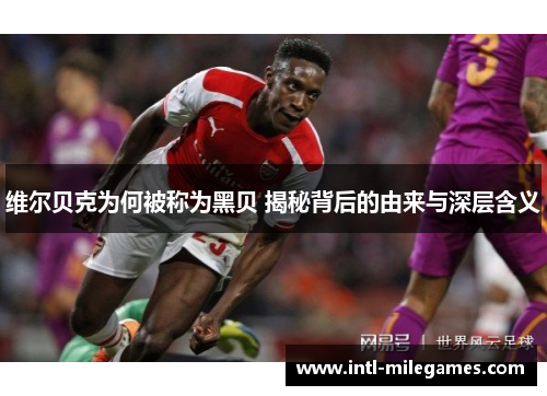 维尔贝克为何被称为黑贝 揭秘背后的由来与深层含义