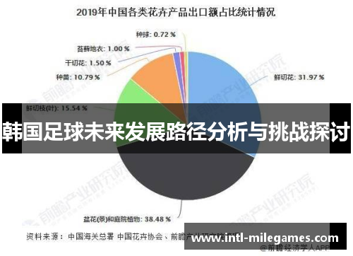 韩国足球未来发展路径分析与挑战探讨 韩国足球未来发展路径分析与挑战探讨